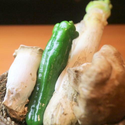 野菜単品