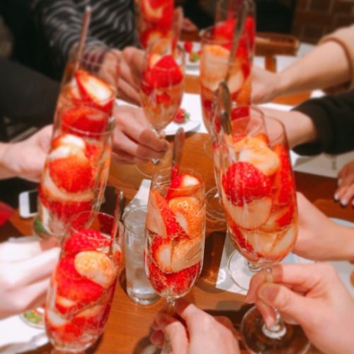【歓送迎会や女子会におすすめ♪】おすすめディナーコース4500円～