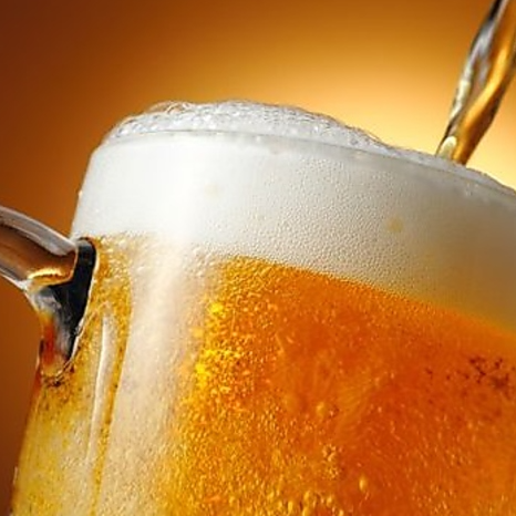 【月~木限定】【2時間飲み放題付き】豚ホルモン食べ放題コース