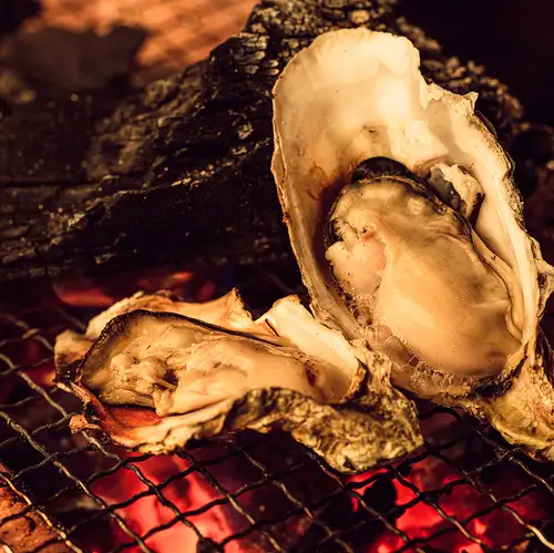 Grilled oysters from Hokkaido