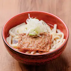 Simple kake udon