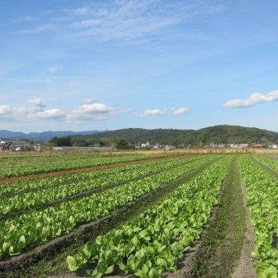 太陽の恵みたっぷり！