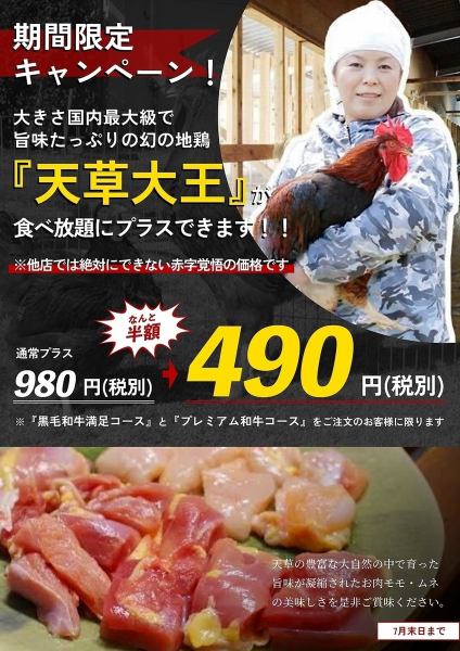 Limited-time campaign until July! Enjoy all-you-can-eat Amakusa Daio chicken, one of the largest in Japan and full of flavor!