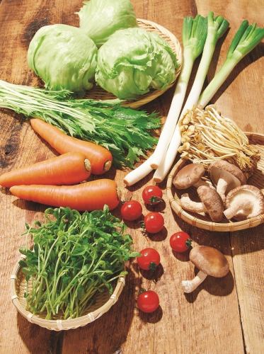 We offer seasonal vegetables that go well with shabu-shabu, with a focus on freshness