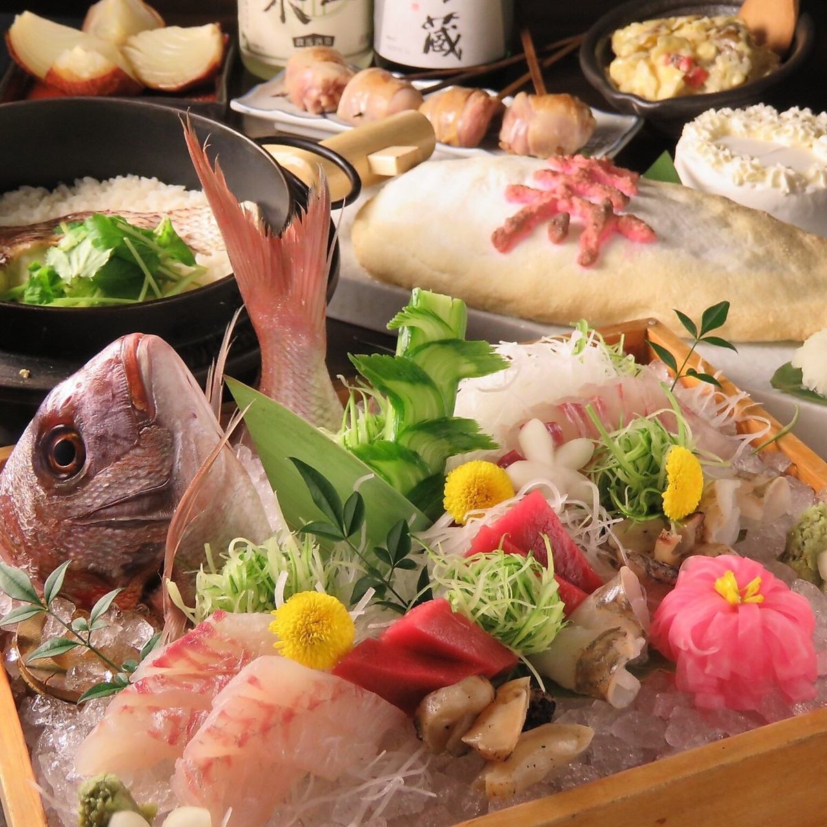 包房◎新的用鹽鍋用木槌敲打的烤鯛魚150分鐘無限暢飲套餐6,000日元