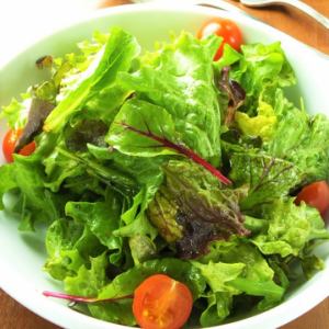 Simple green salad with Italian balsamic vinegar