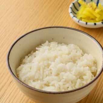 白ごはん[すべてを受け止める白]