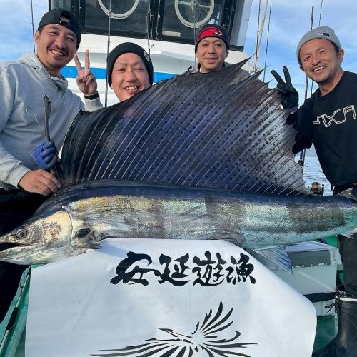 【瀬戸内海で獲れた新鮮な魚】大将自ら釣ったお魚も食べれます☆