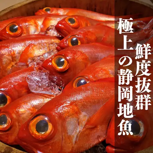 地元の新鮮なお刺身