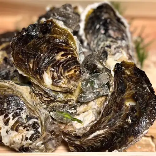 厳選！極上の鮮魚入荷！