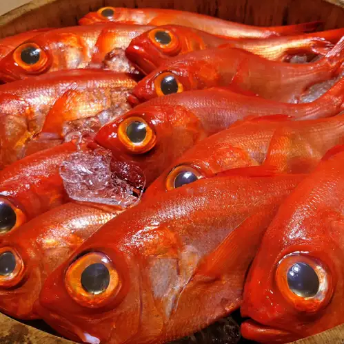旬の鮮魚を使用したお造り