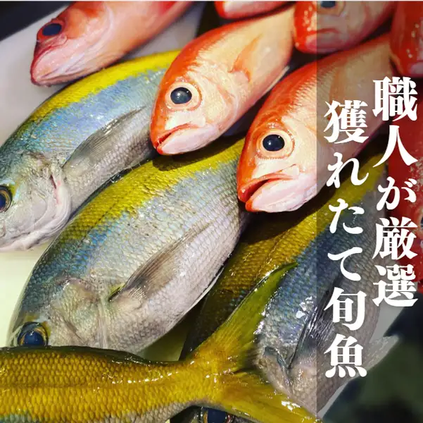 We have a selection of fresh fish caught by skilled submarines!