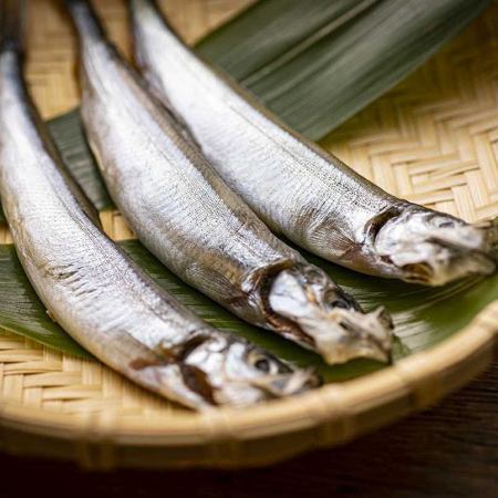 Shishamo 與幼魚 (3 條魚)