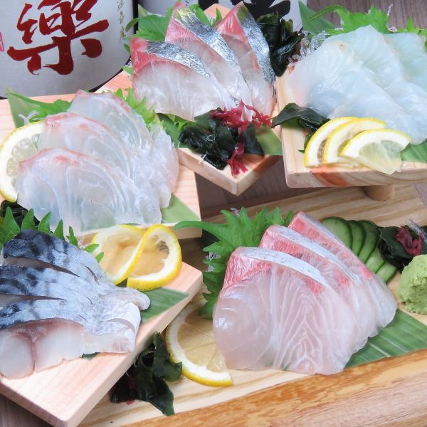 Today's fresh fish platter