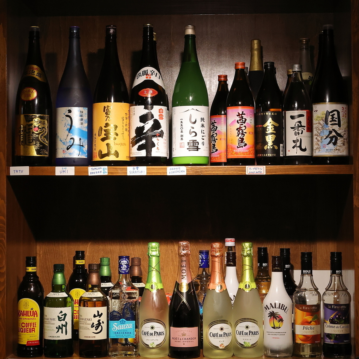 串焼き、海鮮など多くの人気メニューが集まったコースが大人気！