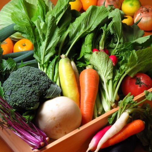 Freshly picked organic vegetables from all over Japan