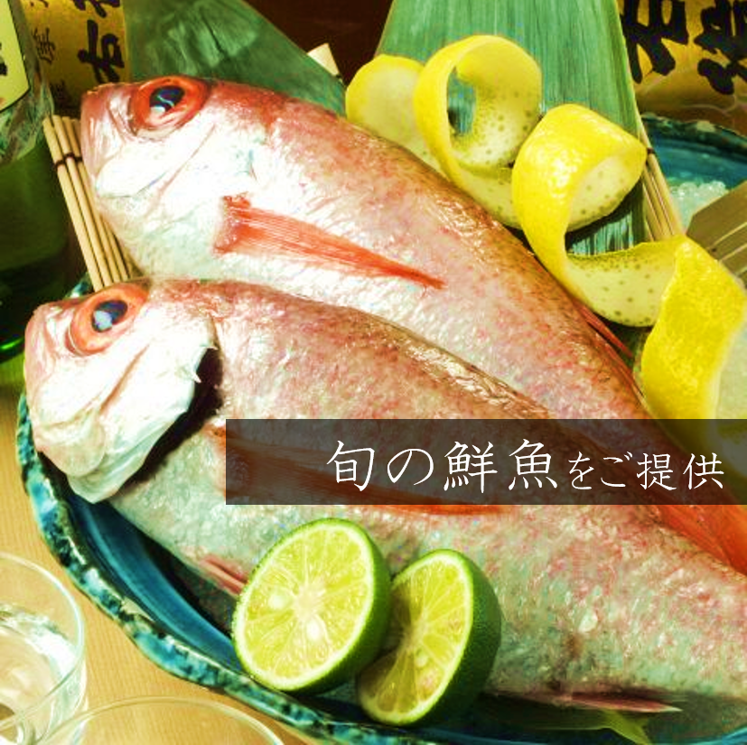 Enjoy fresh fresh fish in a safe digging private room