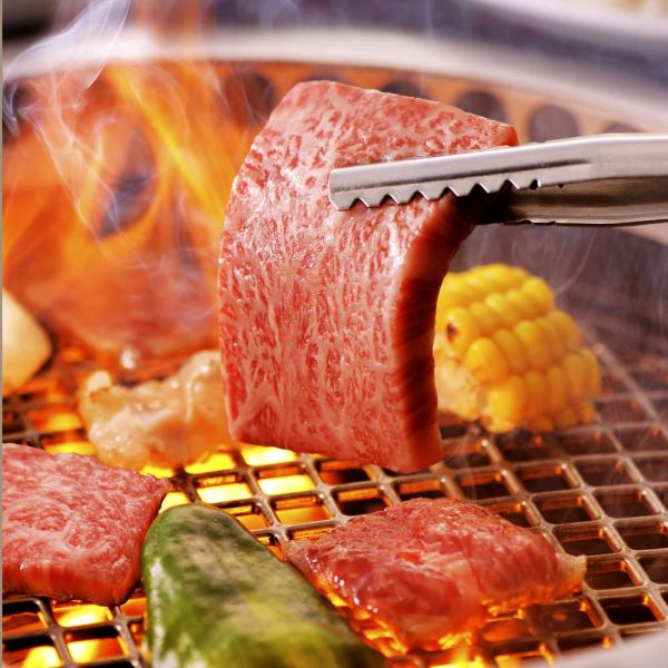 【政宗コース】【期間限定】2時間食べ放題！和牛ホルモンや和牛カルビ等全37品5980円⇒3980円