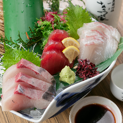 【京桥站步行1分钟】季节性鲜鱼每天到达！