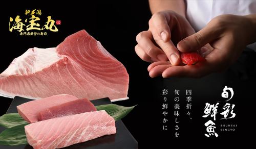 Domestic bluefin tuna