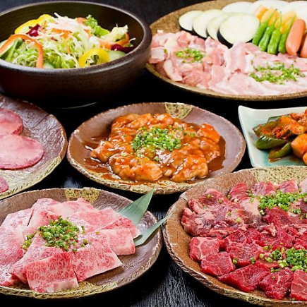 【定番コース】全11品・飲み放題付き(生ビール込)♪お肉の種類が豊富な満足コース!5000円
