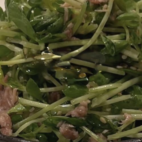 豆苗の梅和えサラダ