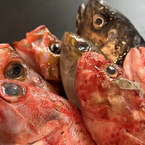 各種時令鮮魚