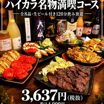 【生ビール付き120分飲み放題】ハイカラ名物満喫コース〈全8皿〉