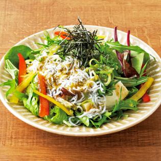 {Produced in Kochi Prefecture} Tofu salad with whitebait from Kochi and Kujo green onions (with Kujo green onion dressing)