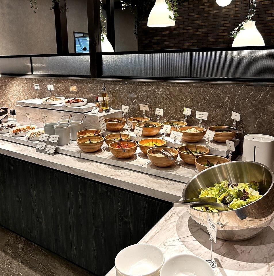 샐러드 뷔페 무제한 & 음료 무제한