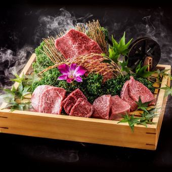Five kinds of Japanese beef