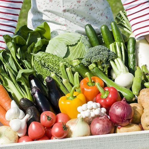 契約農家から仕入れた旬の野菜の数々は鮮度を保ちご提供