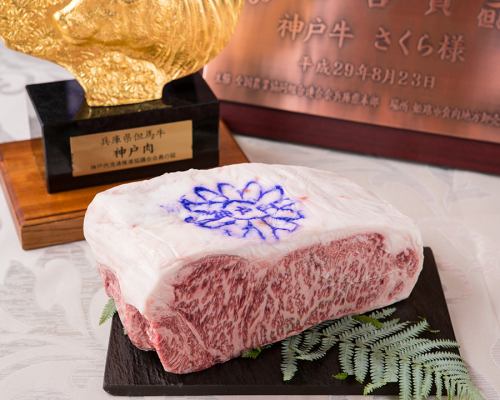 [Our proud premium Kobe beef]