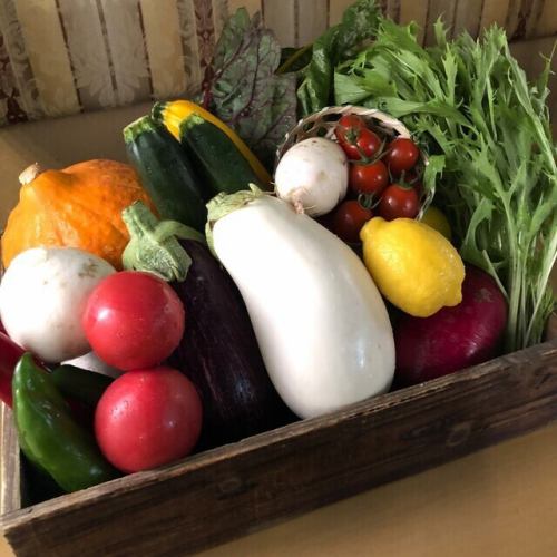 [We are particular about seasonal ingredients] Fresh vegetables from Itoshima are also available.