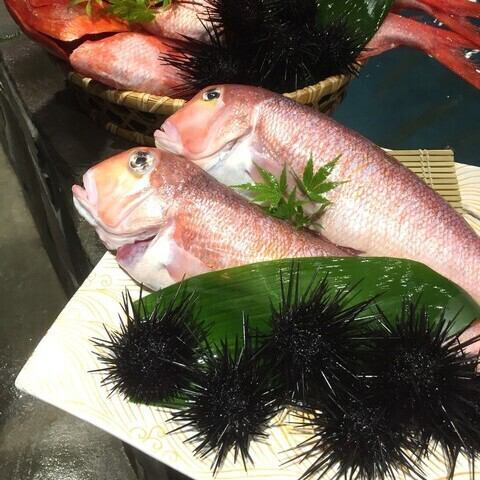 [Tasty Hakata ingredients served on a teppanyaki grill!]