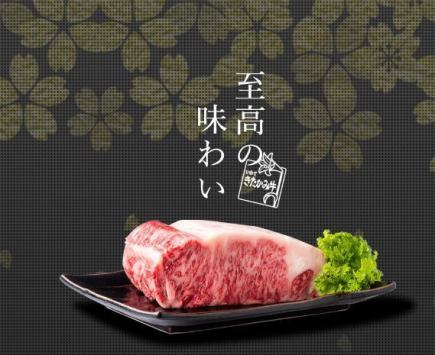 松コース お料理20種 11,000円