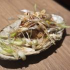 鶏唐ねぎまみれ