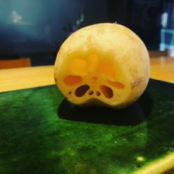 Lotus root