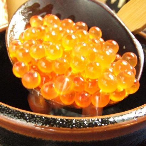 新鮮なネタを毎日ご用意！！【職人の本格にぎり寿司】