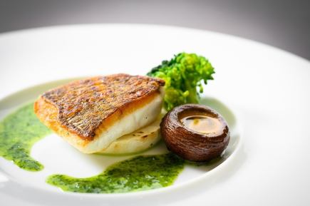 12 월 14 일 저녁 한정! 건배 와인 포함! 수프, 전채, 생선, 에조 사슴 고기 로스트, 디저트 포함