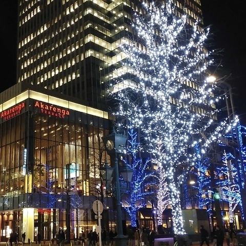 イルミネーションを店内から眺めながらお食事いただけます。
