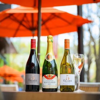 予約限定！乾杯スパークリングワインor生ビール 選べるパスタ 120分ワイン・カクテル飲み放題