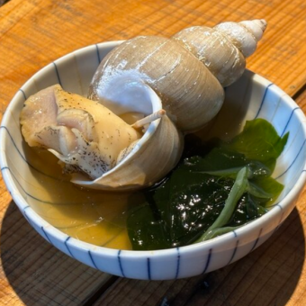 【隠岐の島】 白バイ貝