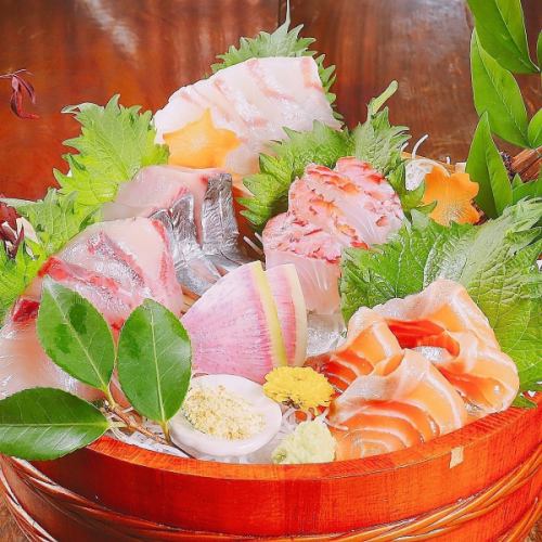 愛媛近海の鮮度抜群の魚を提供！旨いのは鯛だけではない