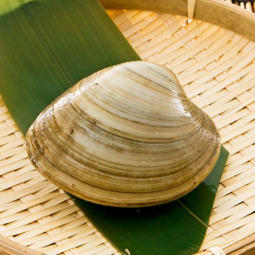 活白蛤(ボンビノス貝)の毅焼 1個／活帆立の毅焼 1個　各