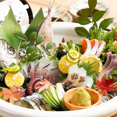 Assortment of 5 kinds of sashimi today