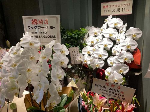 ワックワーク
【本日OPEN】
たくさんのお祝い、心より感謝申し上げます。
末永く愛される店になりますよう、スタッフ一同精励いたします。
今後とも変わらぬご厚誼を賜りますよう、よろしくお願い申し上げます。

#VANS