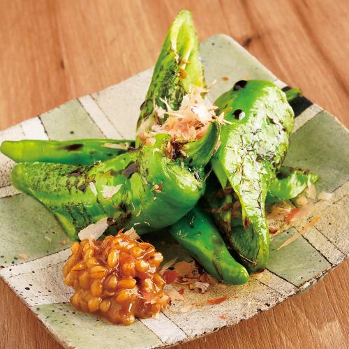[Kyoto Vegetables] Manganji Chili Pepper ~Moromi Miso~