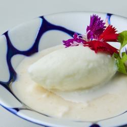 Homemade yogurt sorbet