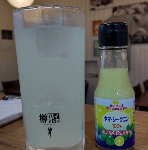 酎ハイ　シークニン　レギュラーサイズ